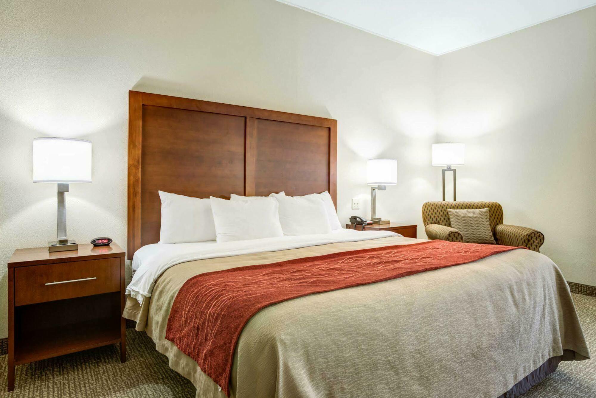 Comfort Inn & Suites Clemson - University Area Ngoại thất bức ảnh